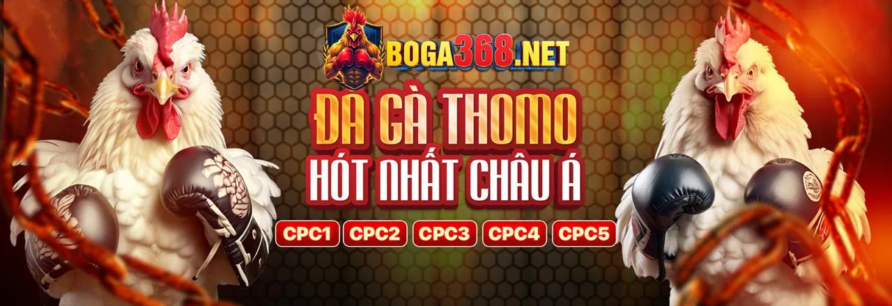 Đá gà trực tuyến hi88g 2026